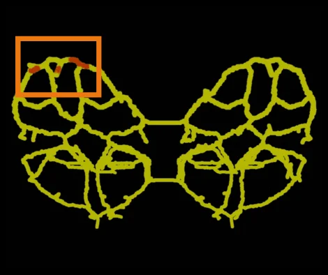 Kernreste im Wassermantel